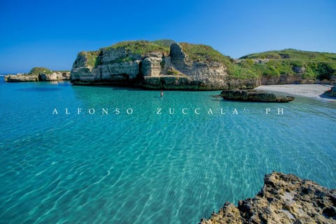Natural landscape