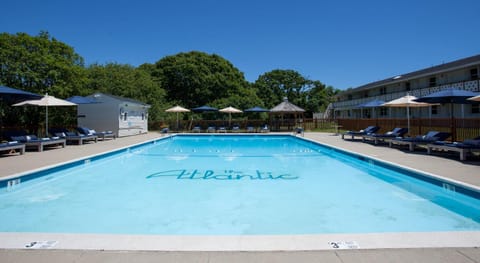 Day, Swimming pool, Swimming pool