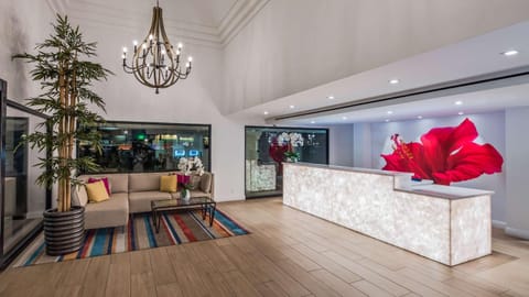 Lobby or reception, On site