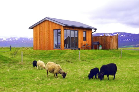 Property building, Summer, Garden