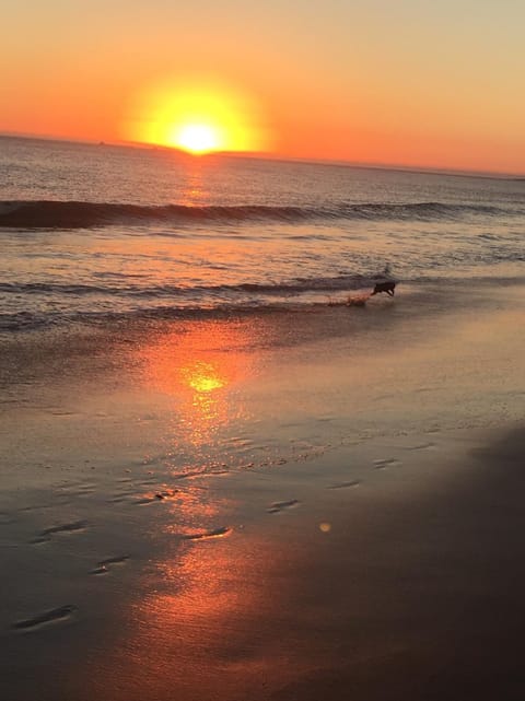Other, Beach