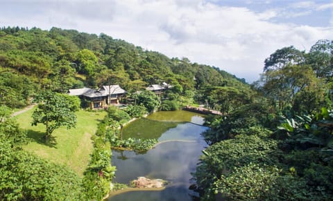 Natural landscape