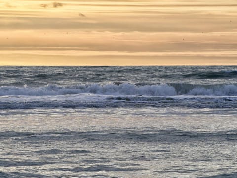 Staff, Spring, Off site, People, Natural landscape, Beach, Family