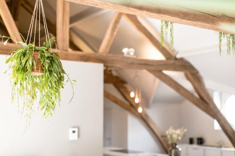 Decorative detail, Decorative detail