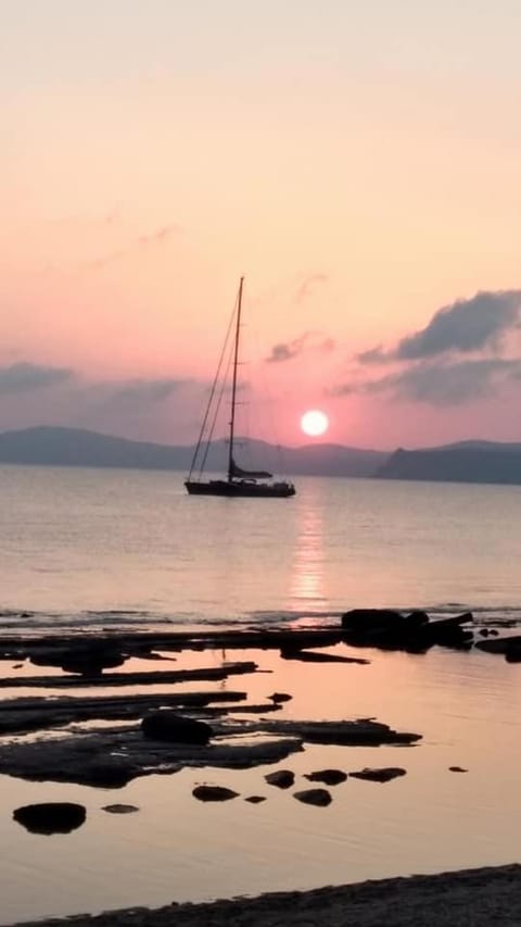 Summer, Sea view, Sunrise