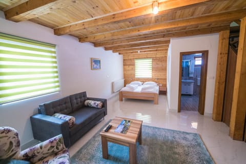 Shower, Toilet, Bed, Bathroom, TV and multimedia, Balcony/Terrace, Living room, Photo of the whole room, Decorative detail, Seating area, Bedroom, Garden view, Mountain view, River view, Inner courtyard view