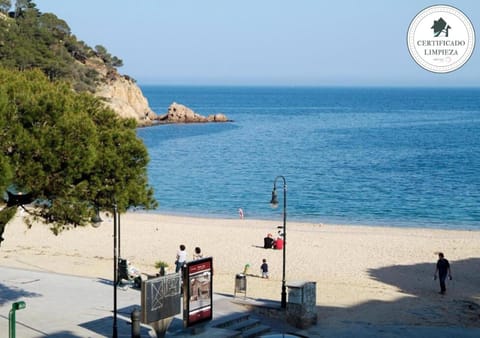 Natural landscape, Beach, Sea view