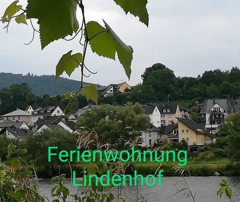 Die Ferienwohnung Lindenhof Apartment in Cochem-Zell