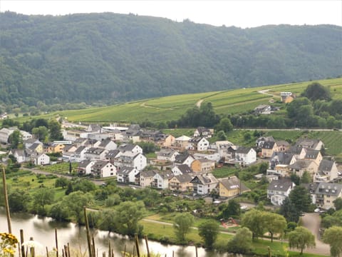 Die Ferienwohnung Lindenhof Apartment in Cochem-Zell