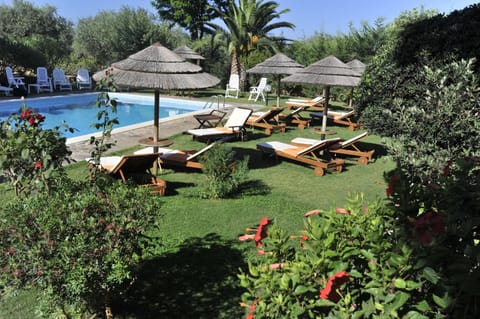 Garden, Swimming pool