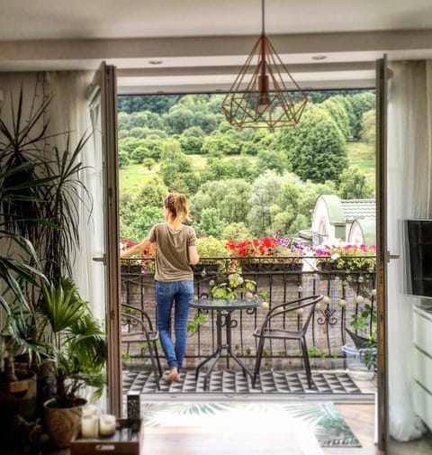 Balcony/Terrace, Living room, Mountain view
