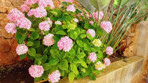 Villa Speranda Apartment in Šibenik-Knin County, Croatia