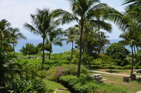 Sea view