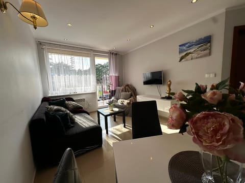 Amber Blue Mare Apartment in West Pomeranian Voivodeship, Poland
