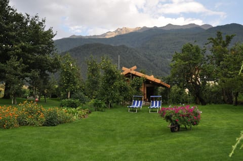 Garden, Mountain view