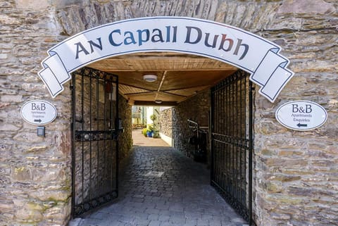 An Capall Dubh B&B Dingle Bed and Breakfast in Dingle