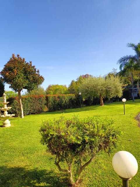 Day, Garden, Garden view, Garden view