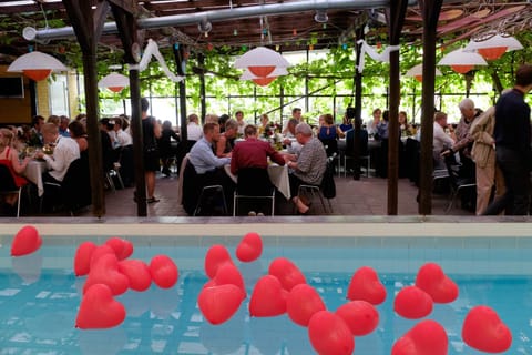 Other, Swimming pool, Swimming pool, Entertainment, group of guests