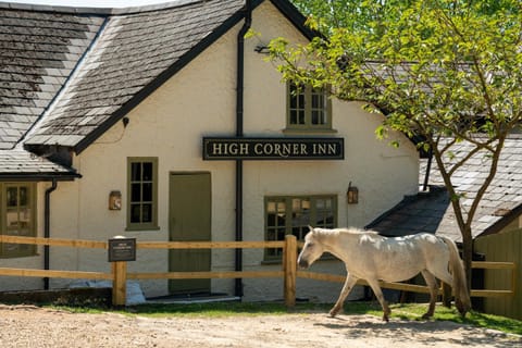 Property building, Garden, Horse-riding, Animals