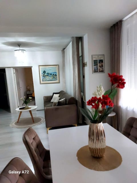 Apartman River Una Apartment in Lika-Senj County
