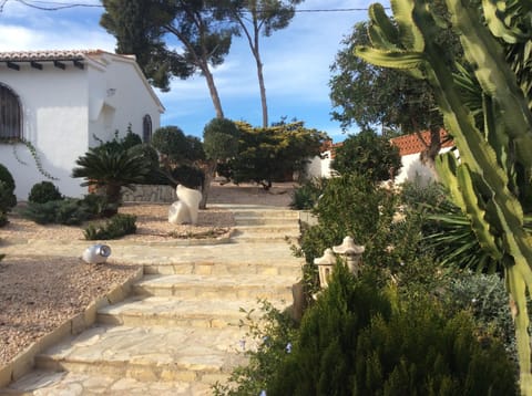 Property view