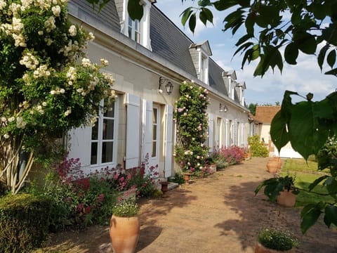 Property building, Spring, Street view