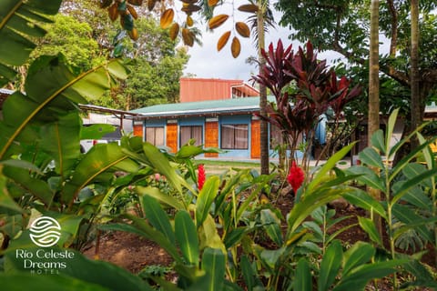 Natural landscape, Garden, Garden view
