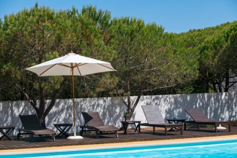 Natural landscape, Garden view, sunbed