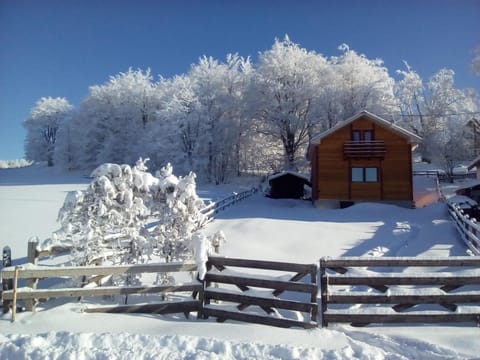 Property building, Winter