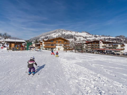 Property building, Winter, Skiing