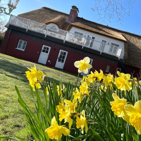 Property building, Spring, Day, Garden, Garden, Balcony/Terrace