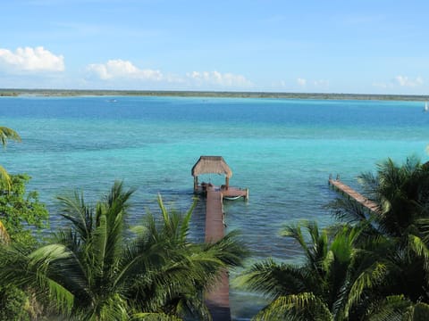 Bird's eye view, Lake view