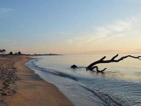 Natural landscape, Beach, Sea view, Sunrise, Open Air Bath