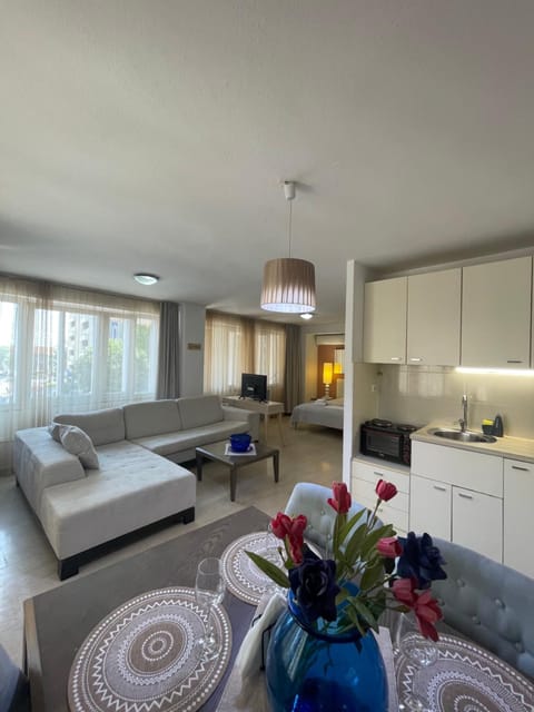 Bed, Kitchen or kitchenette, Living room, Photo of the whole room, Seating area, Dining area, Bedroom, stove