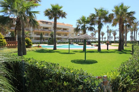 Garden, Swimming pool