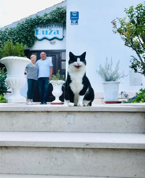 Apartments Ruza Apartment in Šibenik-Knin County, Croatia