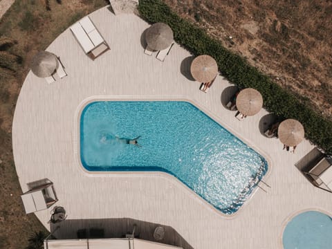 Day, Pool view, Swimming pool