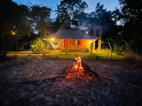 Property building, Night, Natural landscape, Garden, Garden view