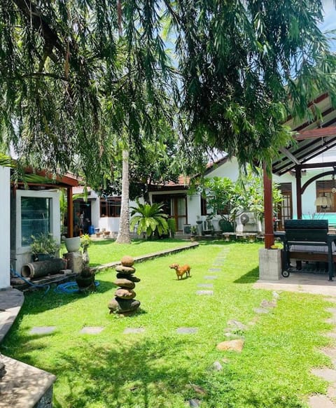 Property building, Garden, Garden view