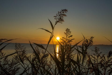 Gutshaus Dumsevitz Apartment in Mecklenburg-Vorpommern, Germany