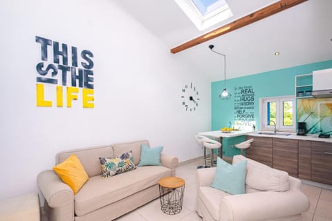 Living room, kitchen
