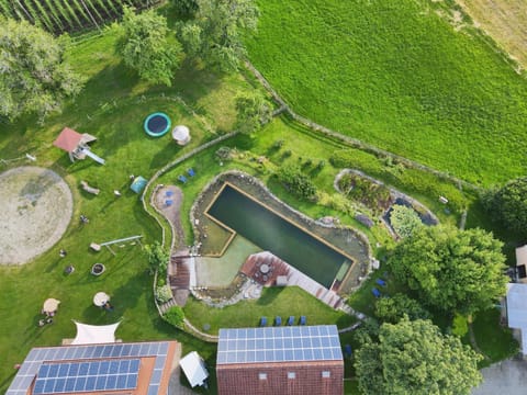 Bird's eye view, Garden, Swimming pool
