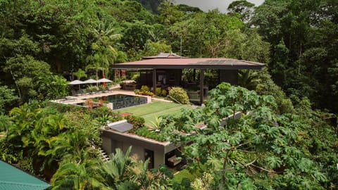 Natural landscape, Garden, Swimming pool
