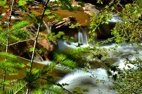 Stonebrook Resort - Adult Only Resort in Estes Park