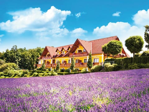 Property building, Garden, Hot Spring Bath