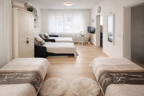 Apartment Messe Karlsruhe Apartment in Karlsruhe