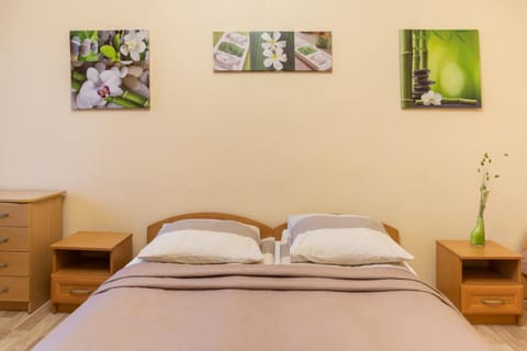 Pigi nakvyne Apartment in Lithuania