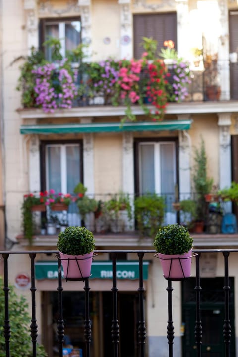 Balcony/Terrace, Balcony/Terrace
