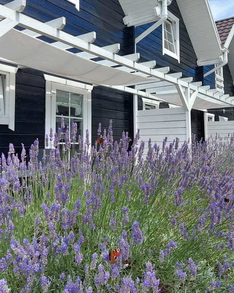 Bla Marine Domki nad Morzem Nature lodge in West Pomeranian Voivodeship, Poland