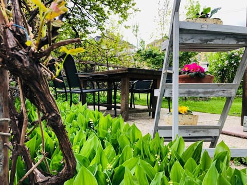 Patio, BBQ facilities, Children play ground, Garden, Evening entertainment